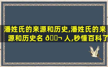 潘姓氏的来源和历史,潘姓氏的来源和历史名 🐬 人,秒懂百科了吗